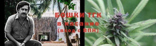 гашик Алзамай