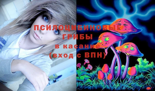 гашик Алзамай